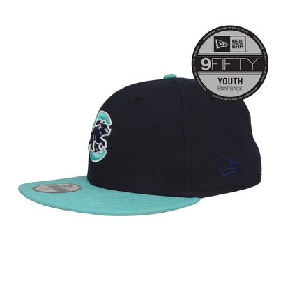 YOUTH Chicago Cubs Custom New Era Cap Snapback Cap Navy Teal navy
teal Back View