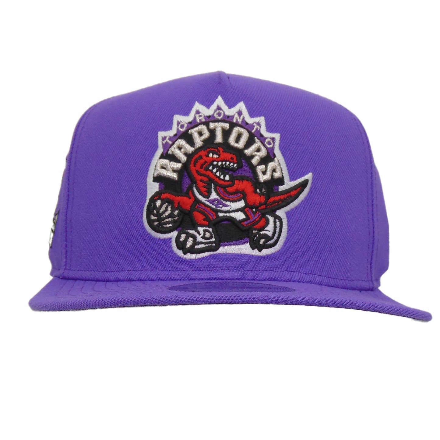Toronto Raptors 9FIFTY A-Frame New Era Snapback Cap Purple