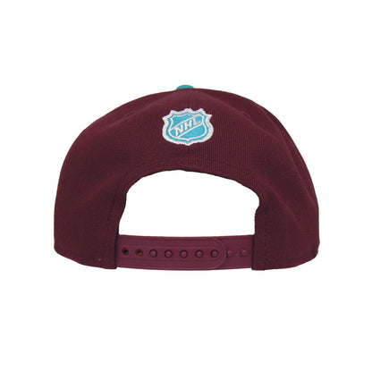 Anaheim Ducks New Era 9FIFTY Snapback Cap Alpine Team teal Back View
