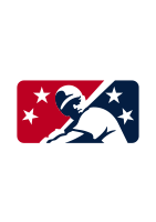 Liga Logo